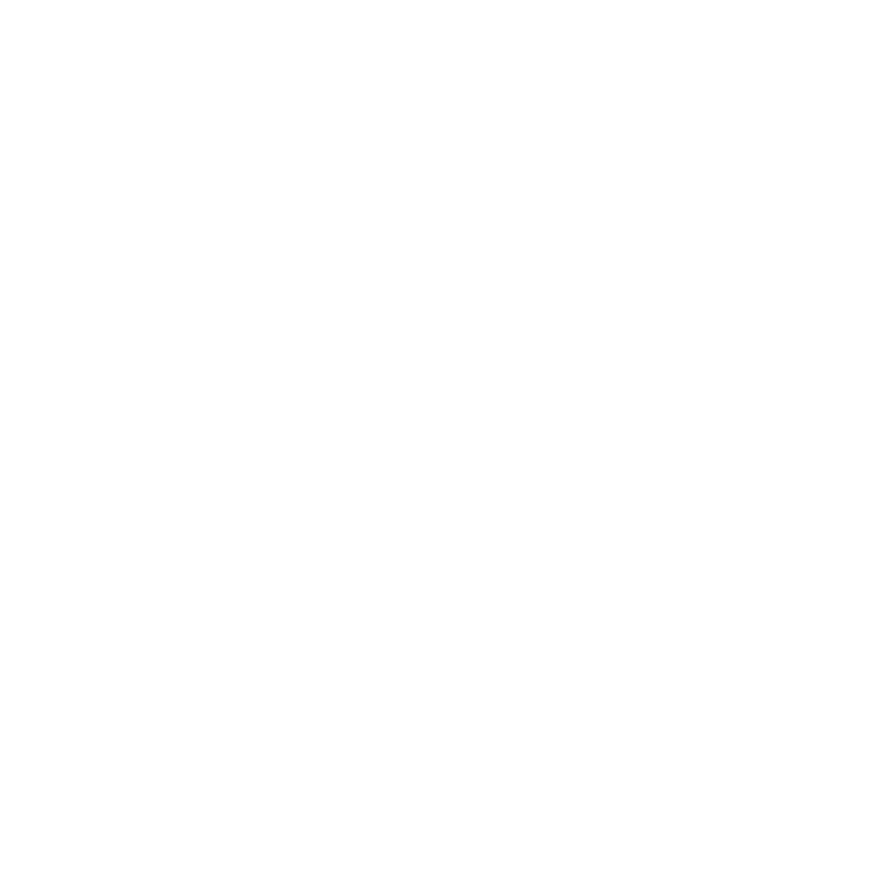 CRONOS Mobility