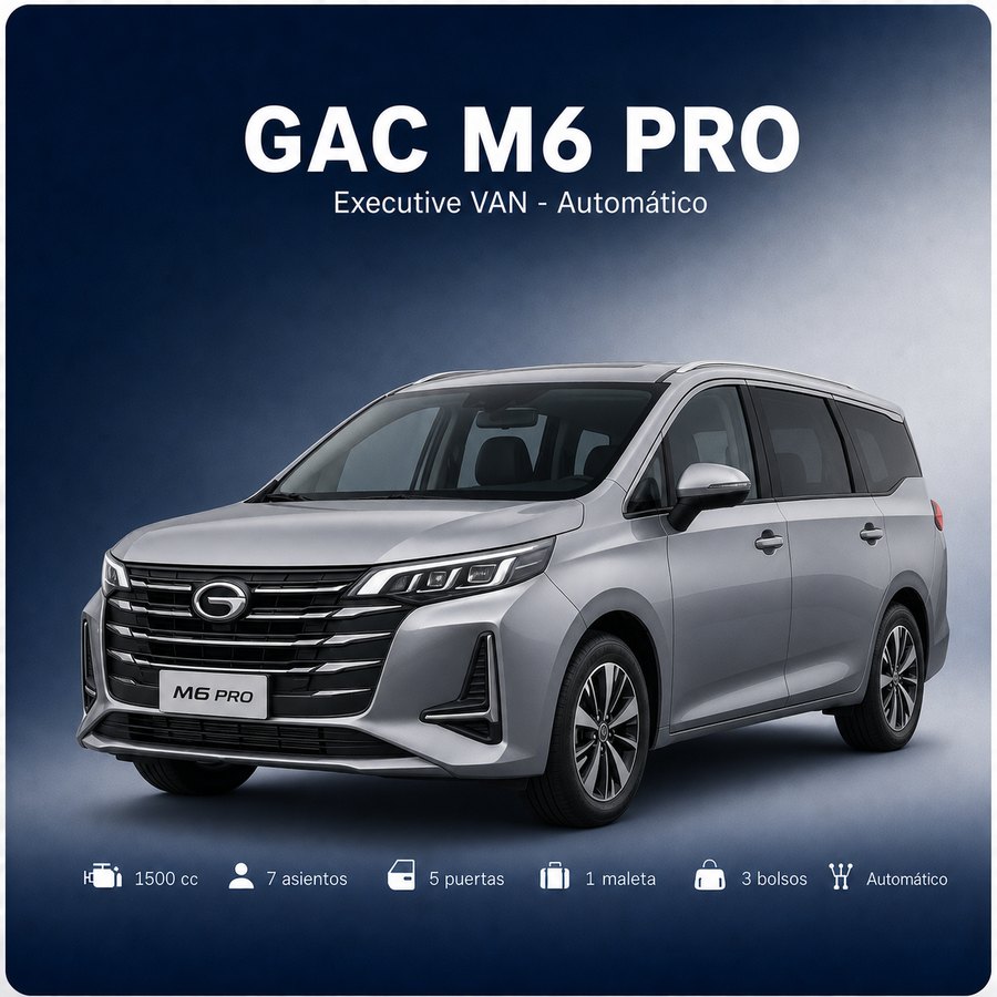 Executive Van — GAC M6 Pro